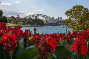 The Best Bottomless Brunch | Yarra River Cruises