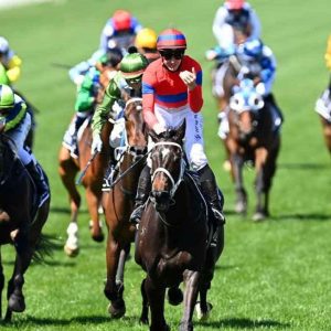Horse Race Melbourne